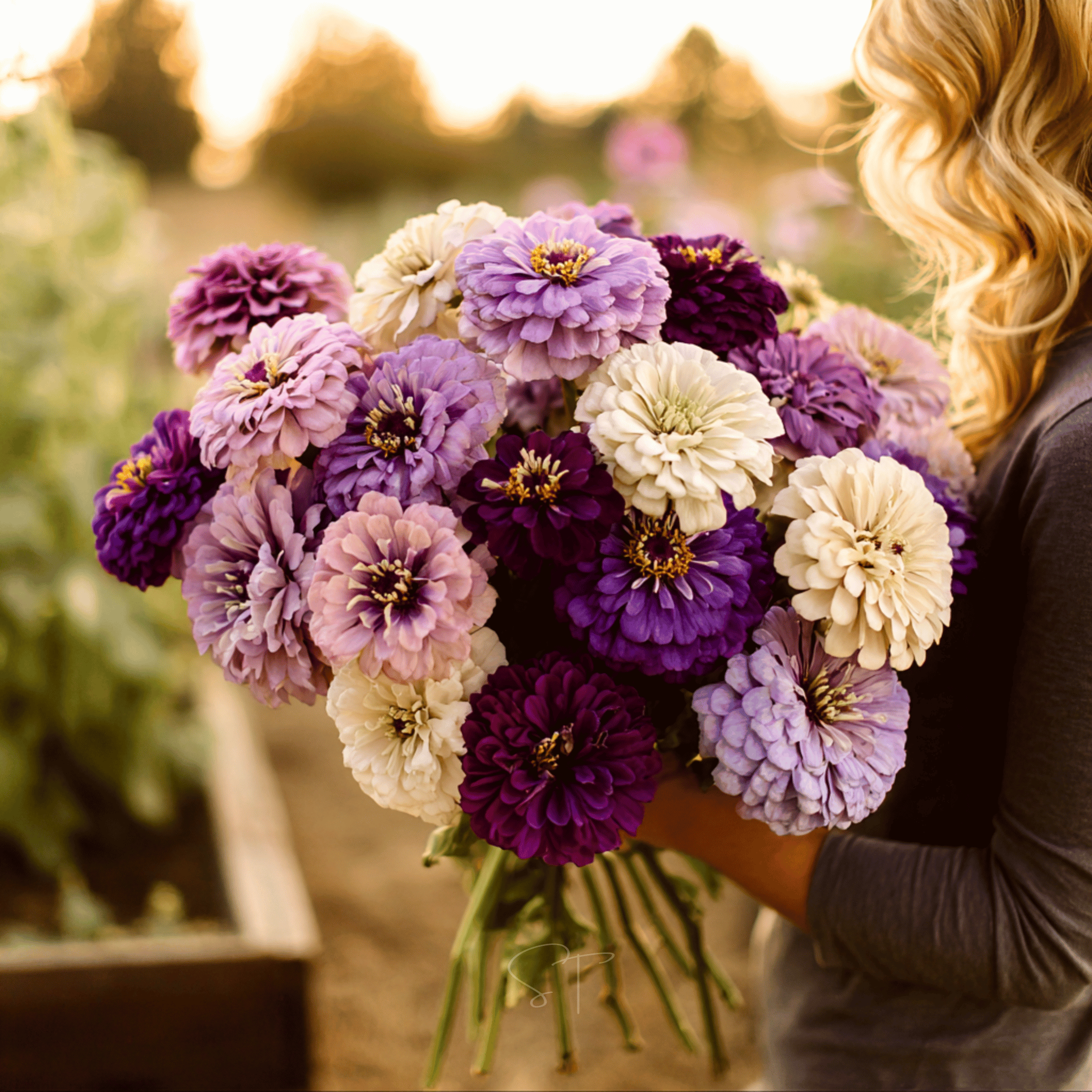 Garden & Outdoor