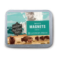Protect Our National Parks Magnets (Series 1)