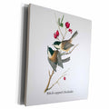 3dRose Black-capped Chickadee by John James Audubon - Museum Grade Canvas Wrap (cw_114047)