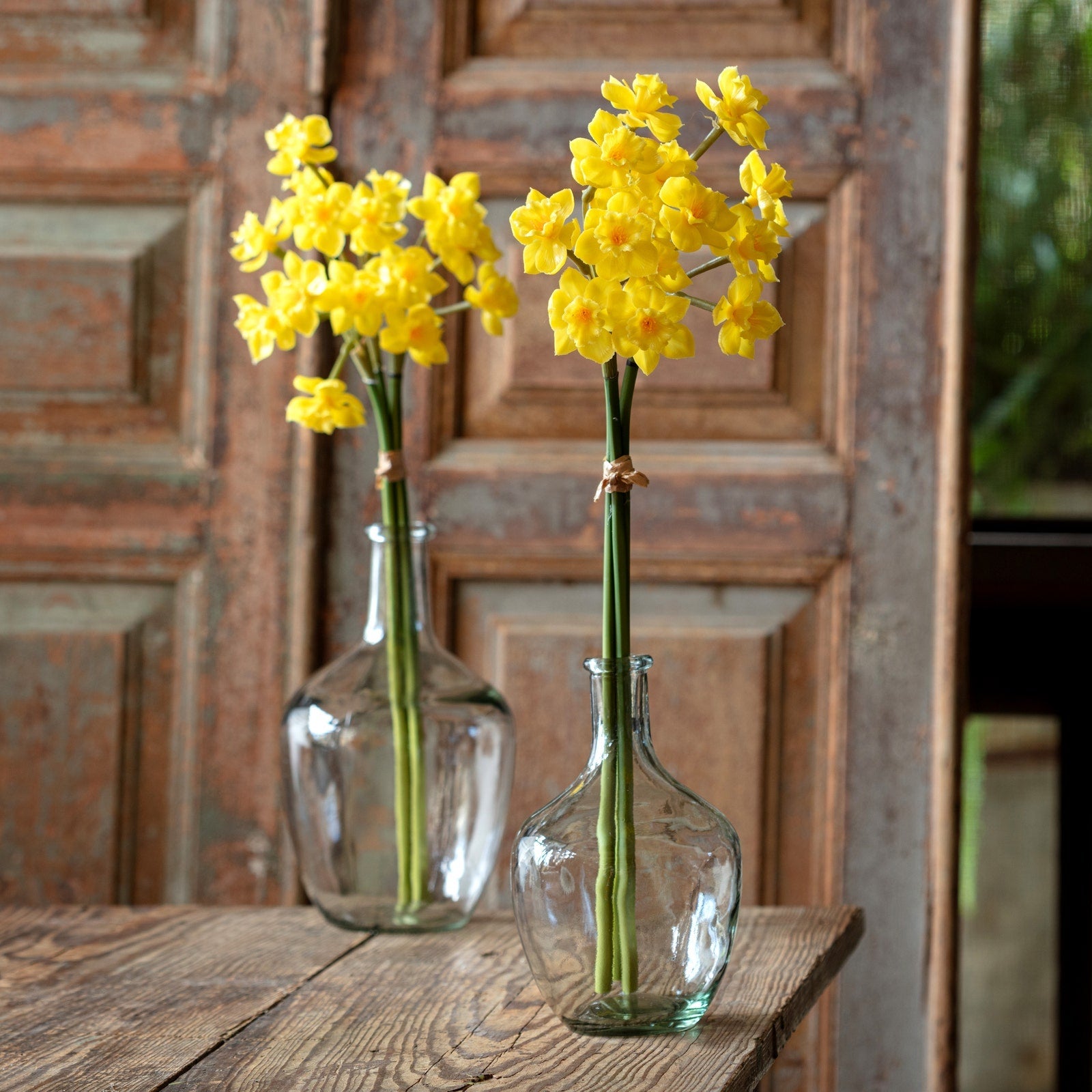 Buttercup Narcissus Flower Bunch