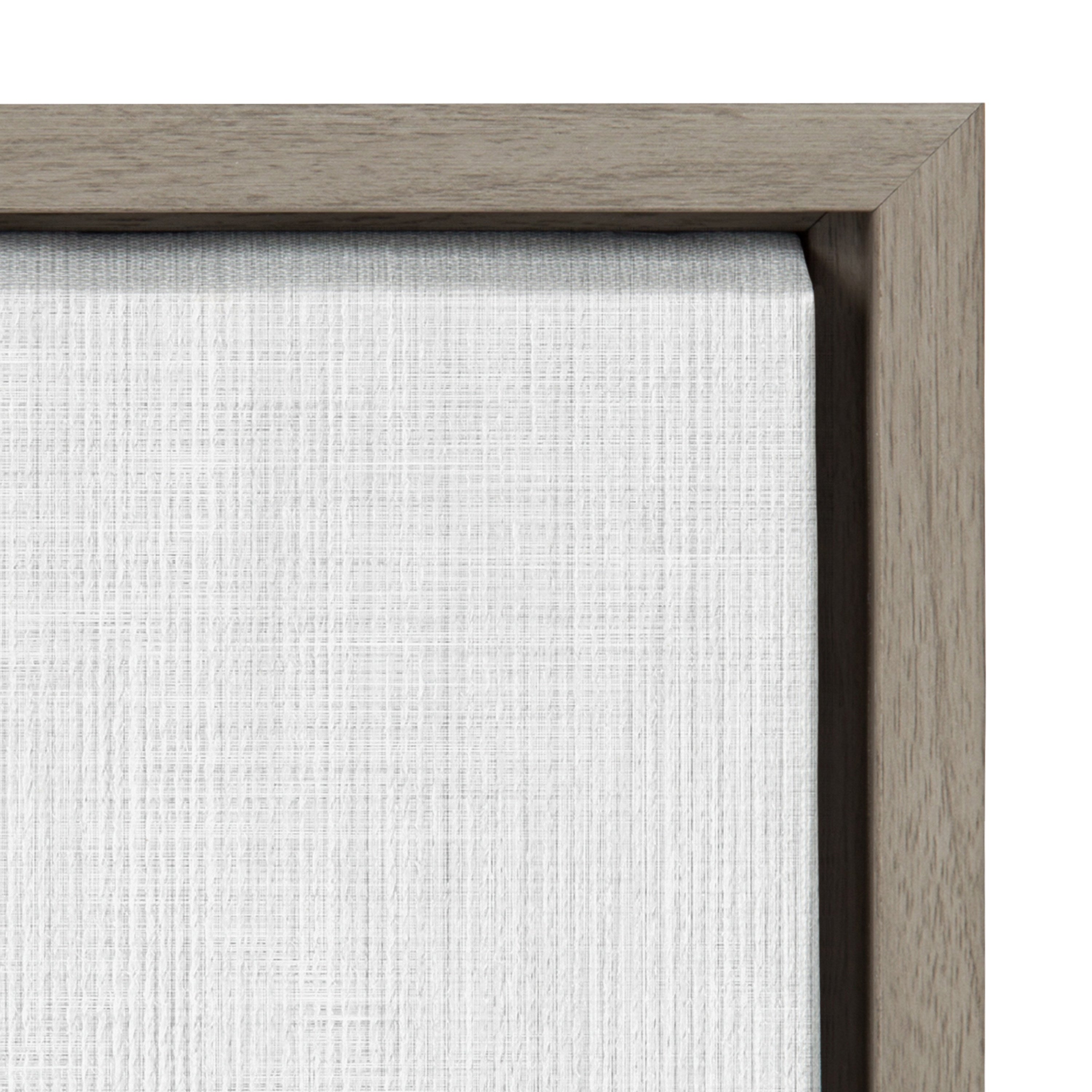 Sylvie Raccoon Framed Canvas by Simon Te Tai