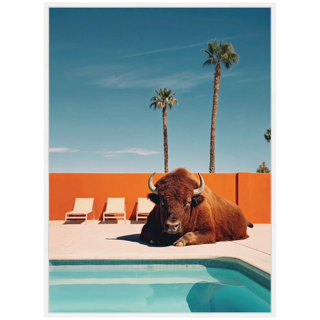 Sylvie Bison Chilling by the Pool in California Framed Canvas by Michael Schauer