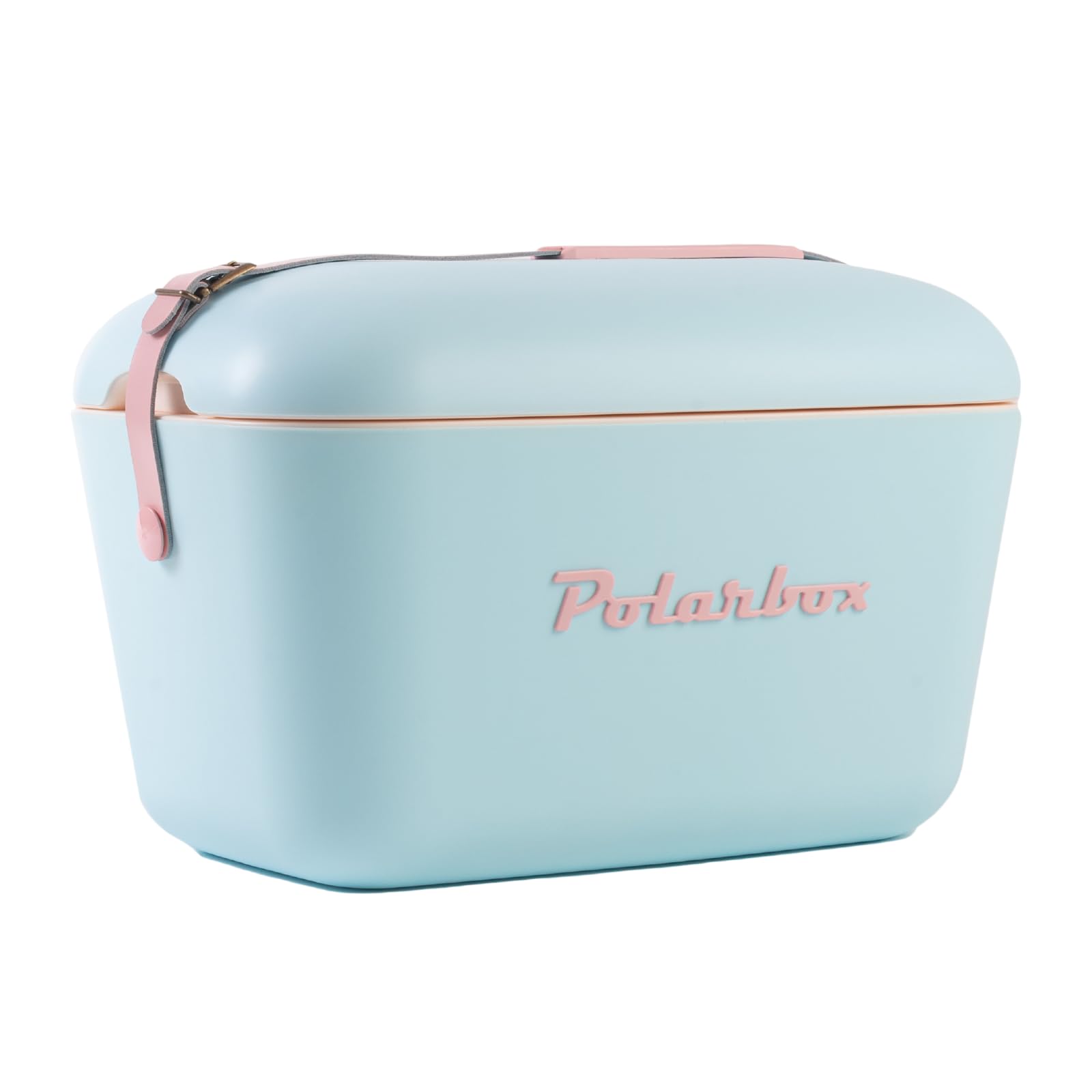 Polarbox Cooler Retro Beach Cooler Vintage Picnic Lunch Box Bag Portable Cooler Travel Camping Hiking 90s Style Ice Chest Extra Large Lightweight for Cans Beers & Seltzer Drinks 20L (Sky Blue Rose)