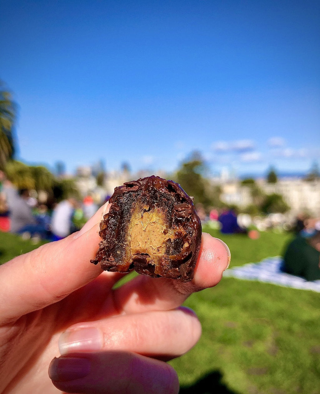 Spiced Dark Chocolate Stuffed Medjool Dates - 4 Pack