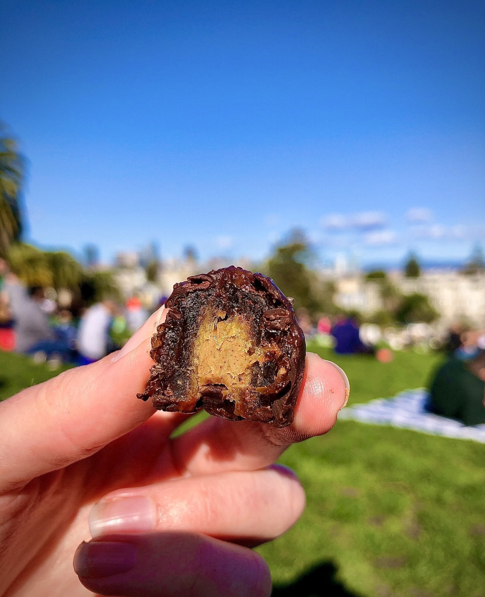 Spiced Dark Chocolate Stuffed Medjool Dates - 4 Pack