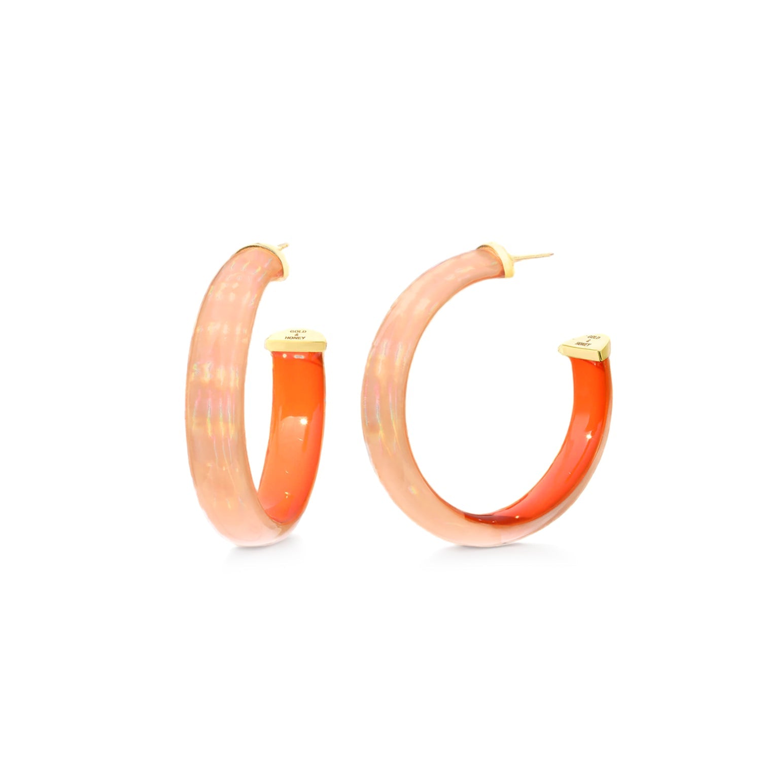 Rave Lucite Hoop Earrings