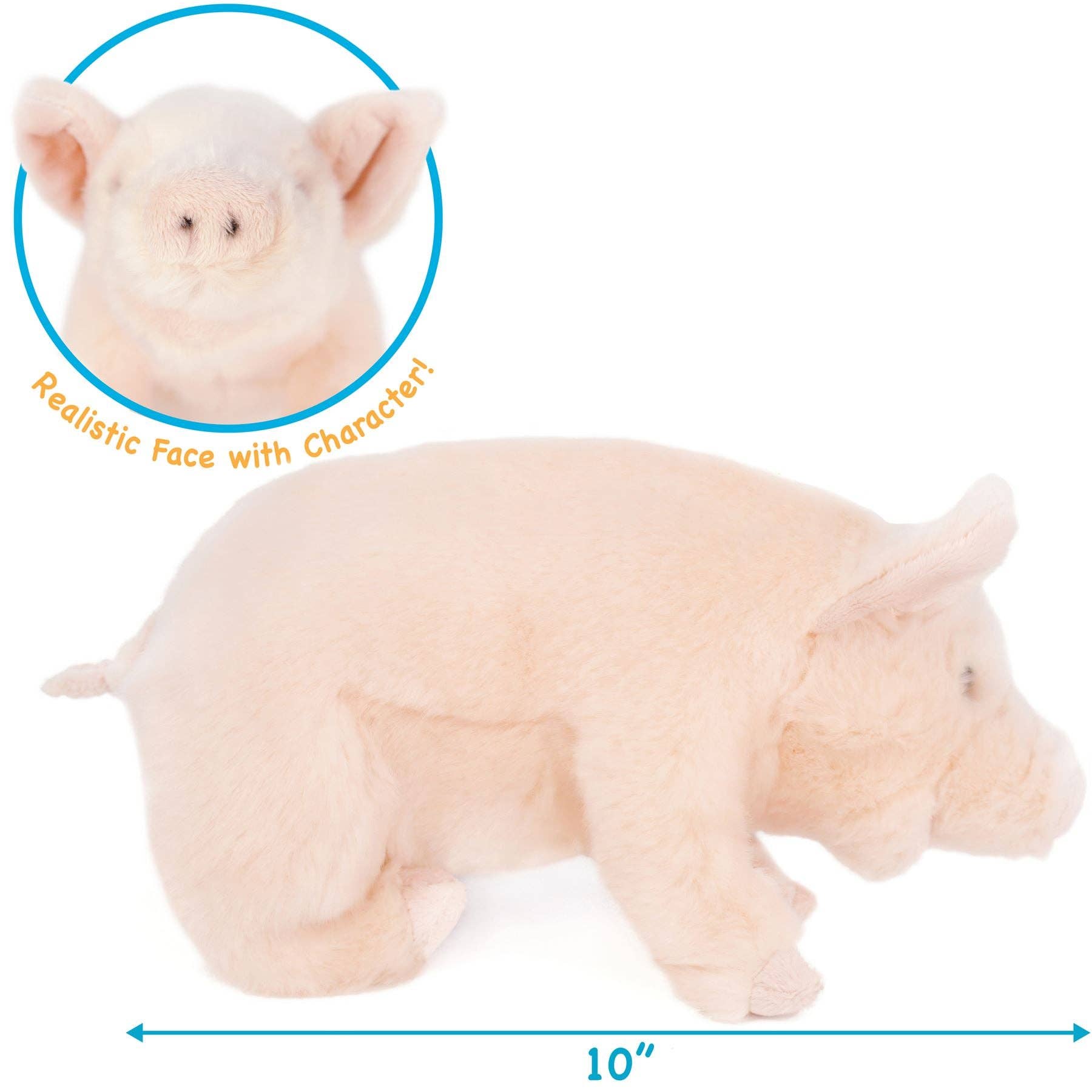 Perla the Pig 11" Plush — Western Farm Friend (Smart Pig Story)