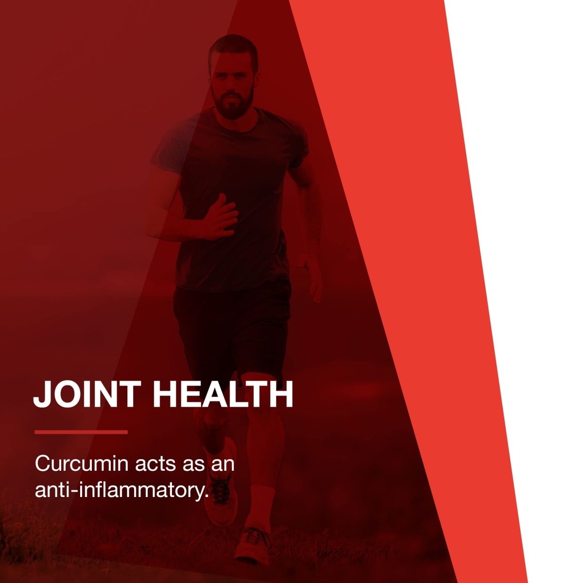 Protocol For Life Balance Curcumin Phytosome Bio-Enhanced Turmeric Extract 60 Vcaps - P4642