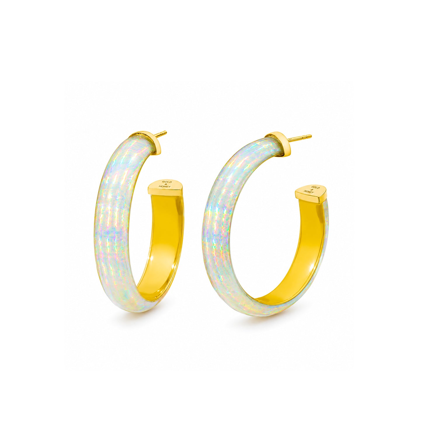 Rave Lucite Hoop Earrings